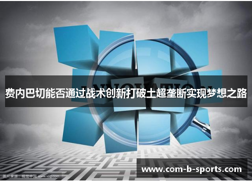 费内巴切能否通过战术创新打破土超垄断实现梦想之路