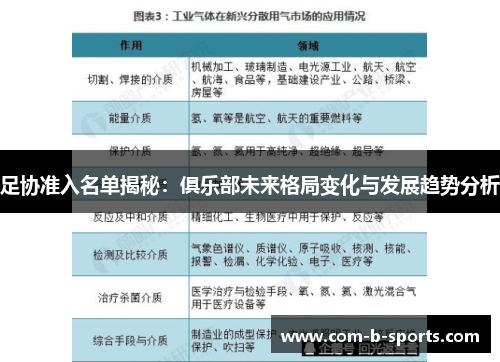 足协准入名单揭秘：俱乐部未来格局变化与发展趋势分析